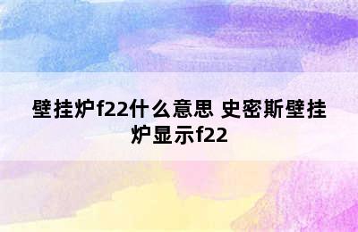 壁挂炉f22什么意思 史密斯壁挂炉显示f22